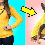 5 Ideas de ropa para mascotas