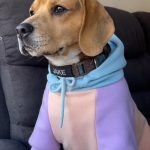 Suéter con capucha para perros